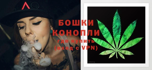 молекула духа Заволжск