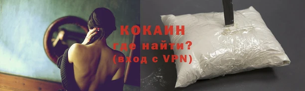 гашик Заволжье