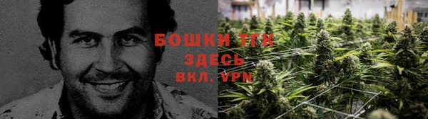 метадон Зеленодольск