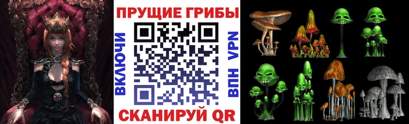 где купить наркотик  Зея  Галлюциногенные грибы GOLDEN TEACHER 